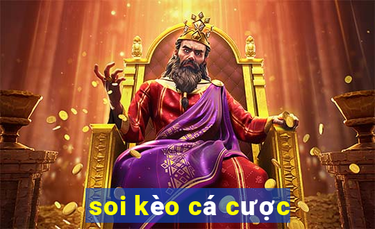 soi kèo cá cược