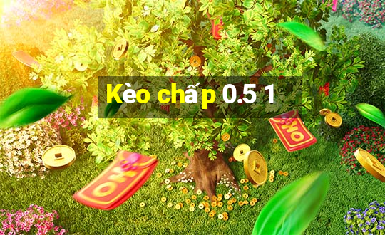 Kèo chấp 0.5 1