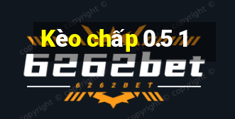 Kèo chấp 0.5 1