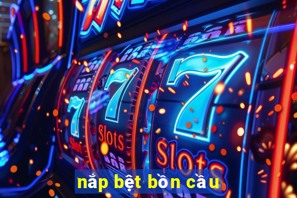 nắp bệt bồn cầu