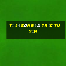 tỷ lệ bóng đá trực tuyến