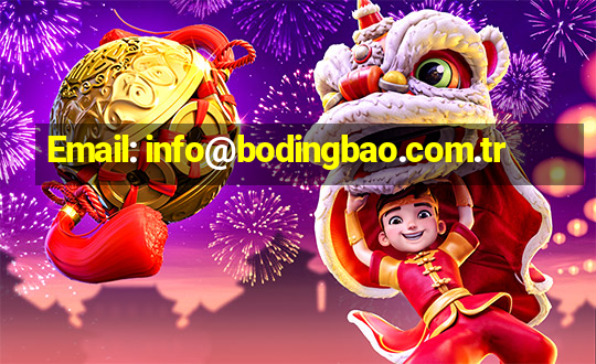 Email: info@bodingbao.com.tr