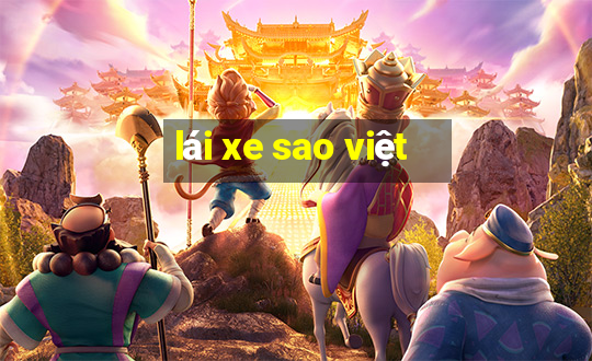 lái xe sao việt