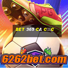 bet 365 cá cược