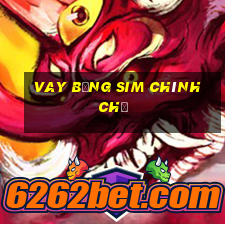 vay bằng sim chính chủ