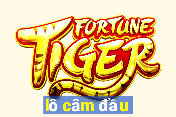 lô câm đầu