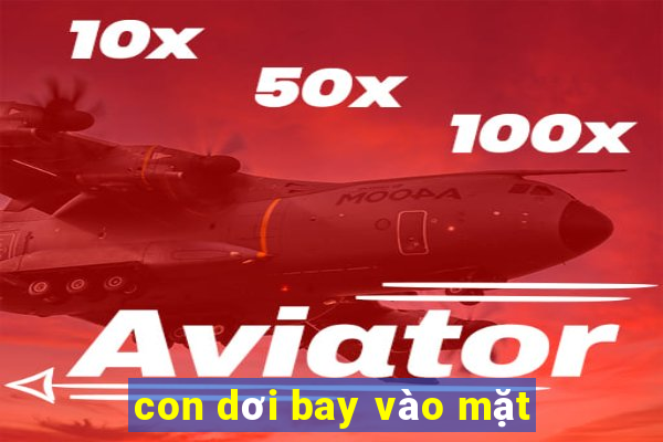 con dơi bay vào mặt