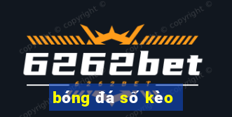 bóng đá số kèo