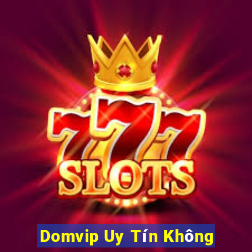 Domvip Uy Tín Không