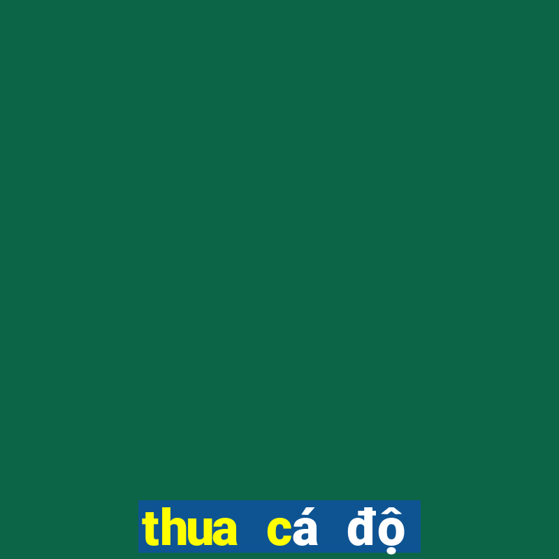 thua cá độ bóng đá