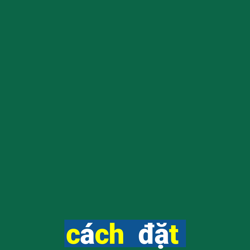 cách đặt cược baccarat