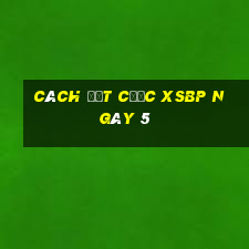 Cách đặt cược XSBP ngày 5