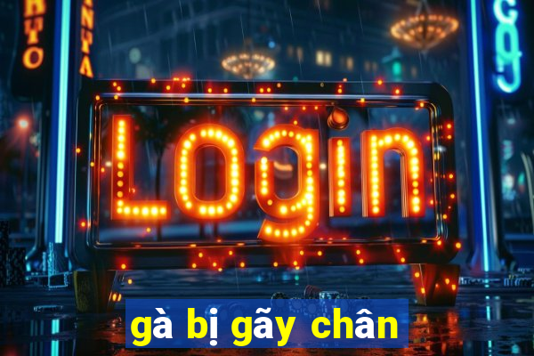 gà bị gãy chân