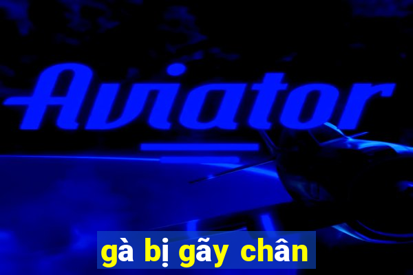 gà bị gãy chân