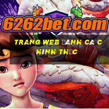 Trang web đánh cá chính thức