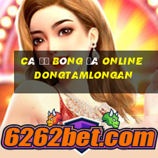 cá độ bóng đá online dongtamlongan