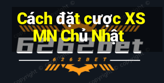 Cách đặt cược XSMN Chủ Nhật