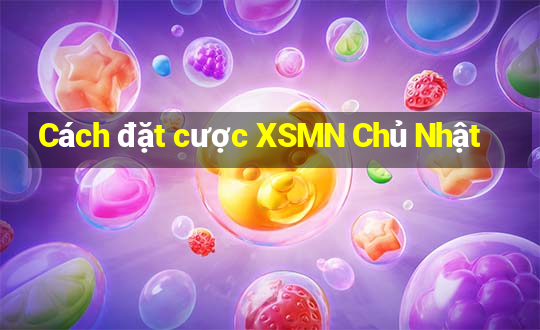 Cách đặt cược XSMN Chủ Nhật