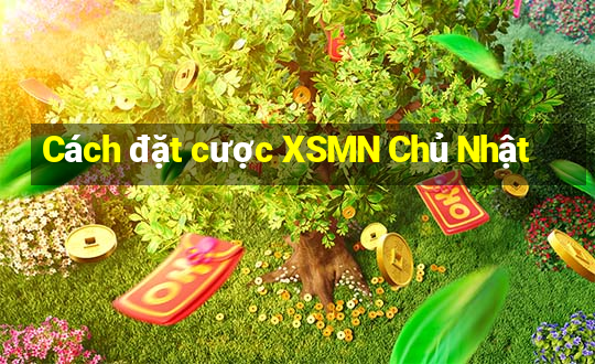 Cách đặt cược XSMN Chủ Nhật