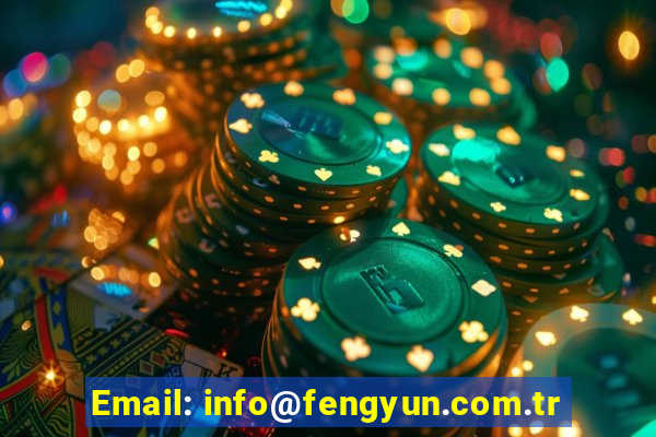 Email: info@fengyun.com.tr