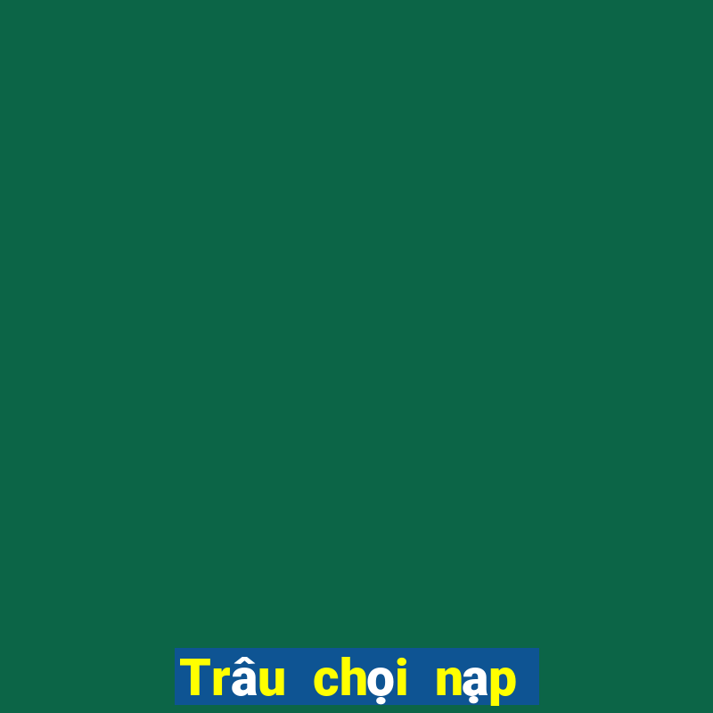 Trâu chọi nạp 188 chơi