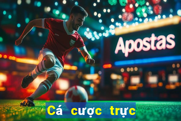 Cá cược trực tuyến rikvip