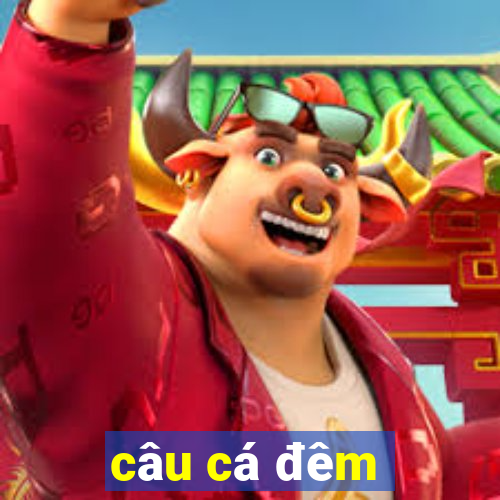 câu cá đêm