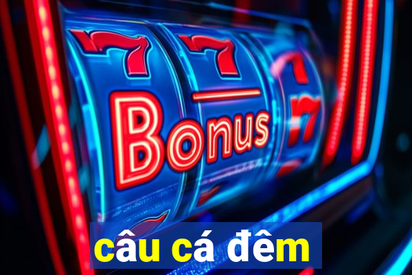 câu cá đêm