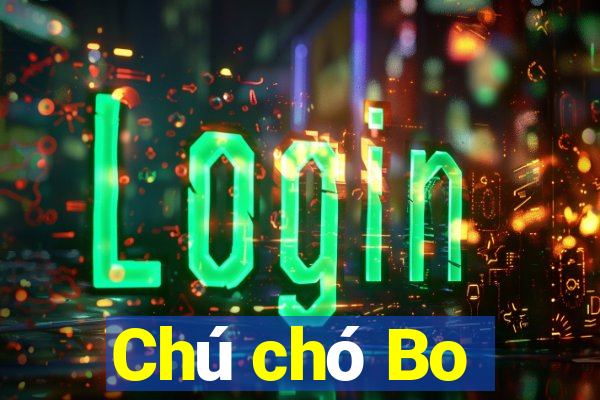 Chú chó Bo