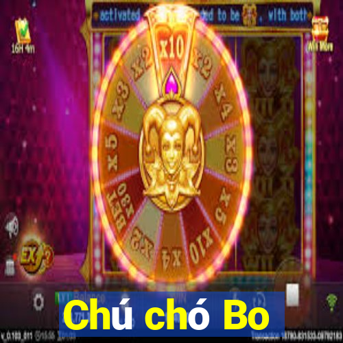 Chú chó Bo