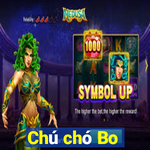 Chú chó Bo