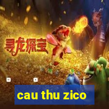 cau thu zico