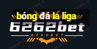 bóng đá la liga