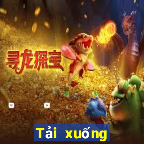 Tải xuống trực tiếp bóng rổ