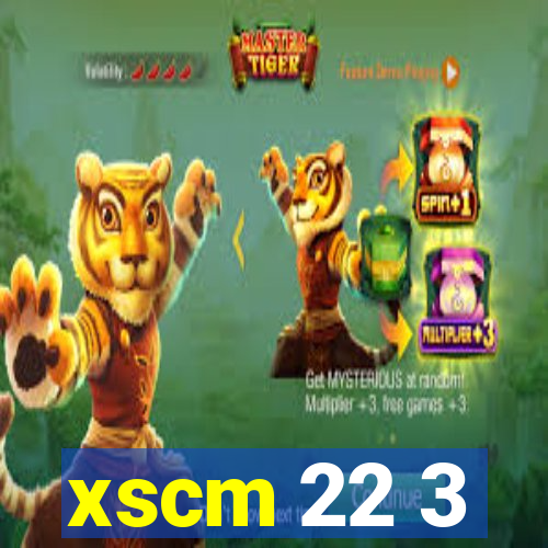 xscm 22 3