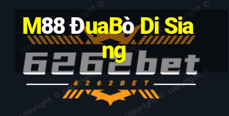 M88 ĐuaBò Di Siang