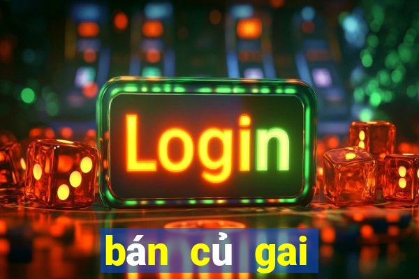 bán củ gai tươi ở tphcm