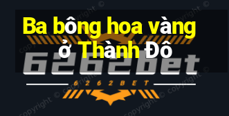 Ba bông hoa vàng ở Thành Đô