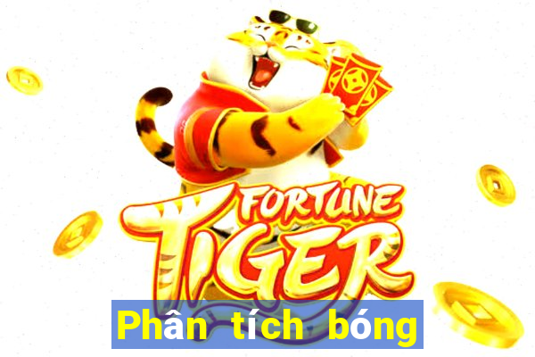 Phân tích bóng đá ngày mai