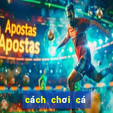 cách chơi cá cược bóng đá