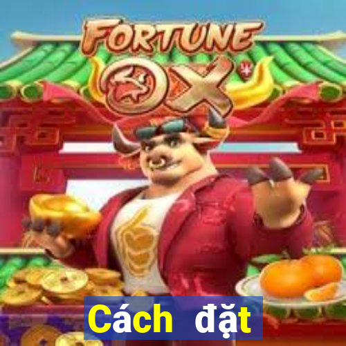 Cách đặt cược XSQT ngày 1