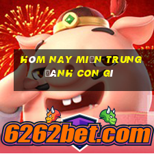 hôm nay miền trung đánh con gì