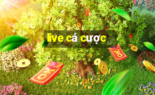 live cá cược