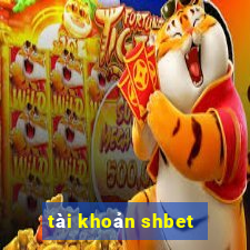 tài khoản shbet