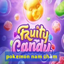 pokemon nam châm