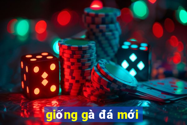 giống gà đá mới