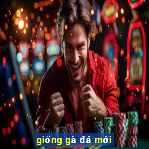 giống gà đá mới