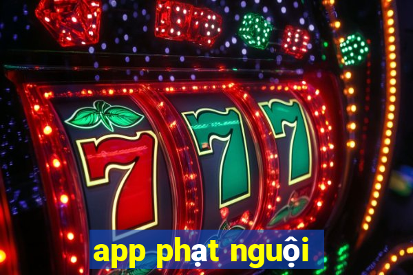 app phạt nguội