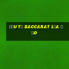 đầu từ baccarat lừa đảo