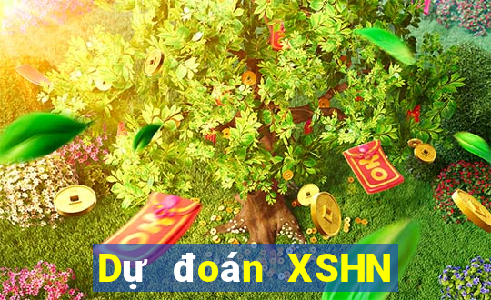 Dự đoán XSHN ngày 12